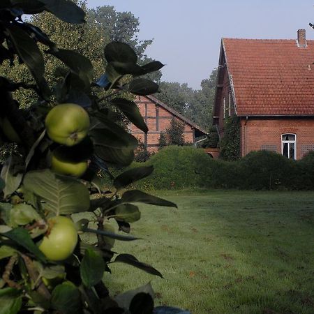 Отель Adelheidshof Magelsen Экстерьер фото